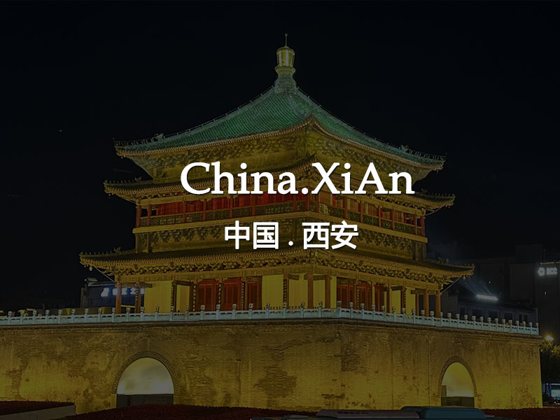 Tea master in xian teaching foreigners