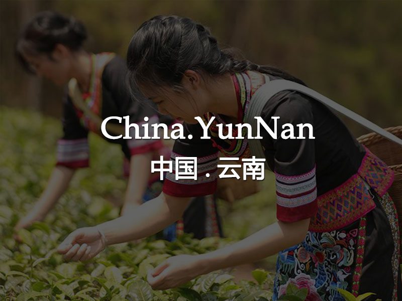 yunnan