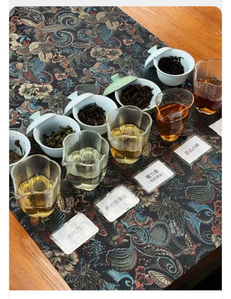 品鉴茶