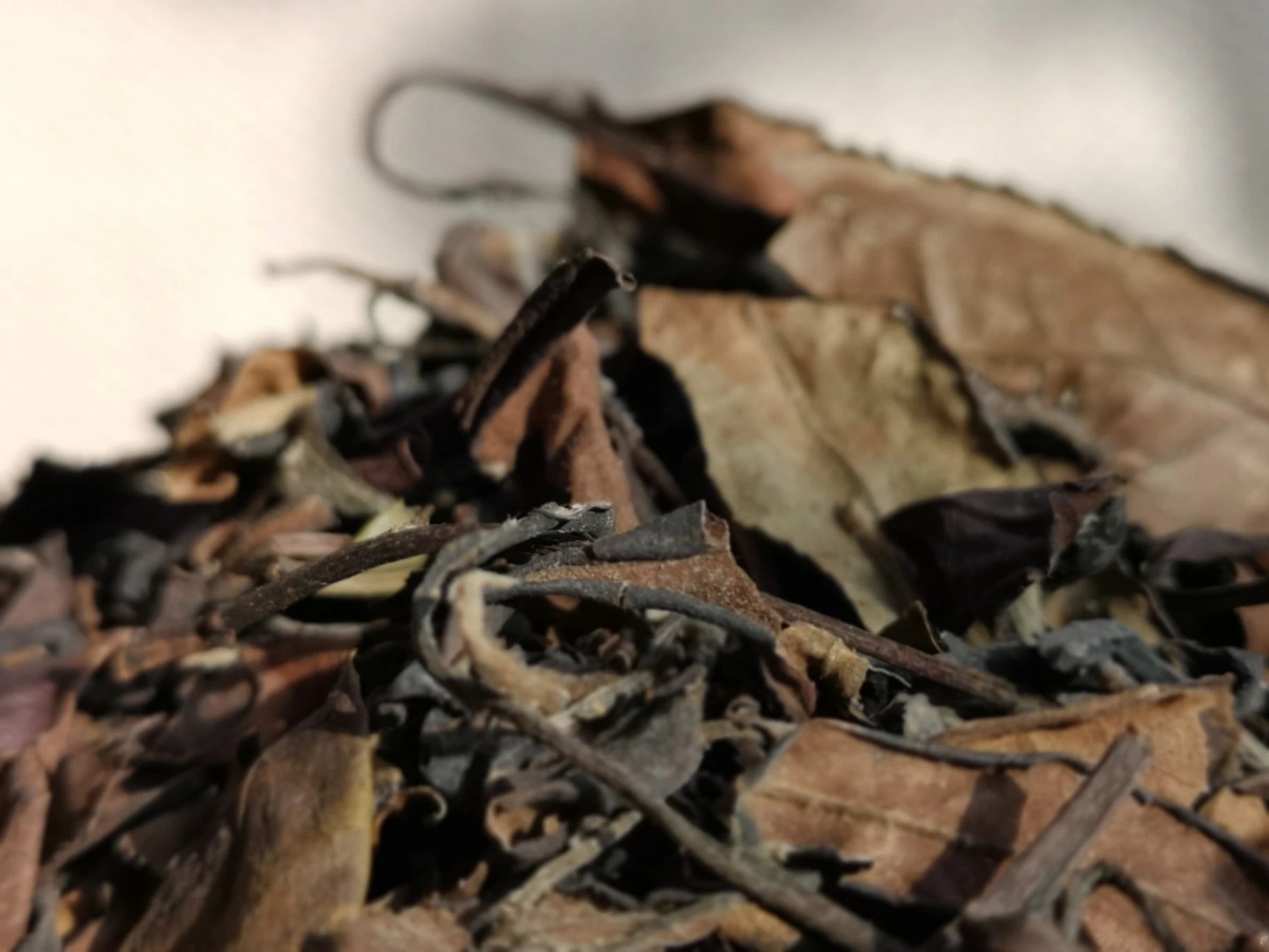 老茶 15 70年代 01 (1)